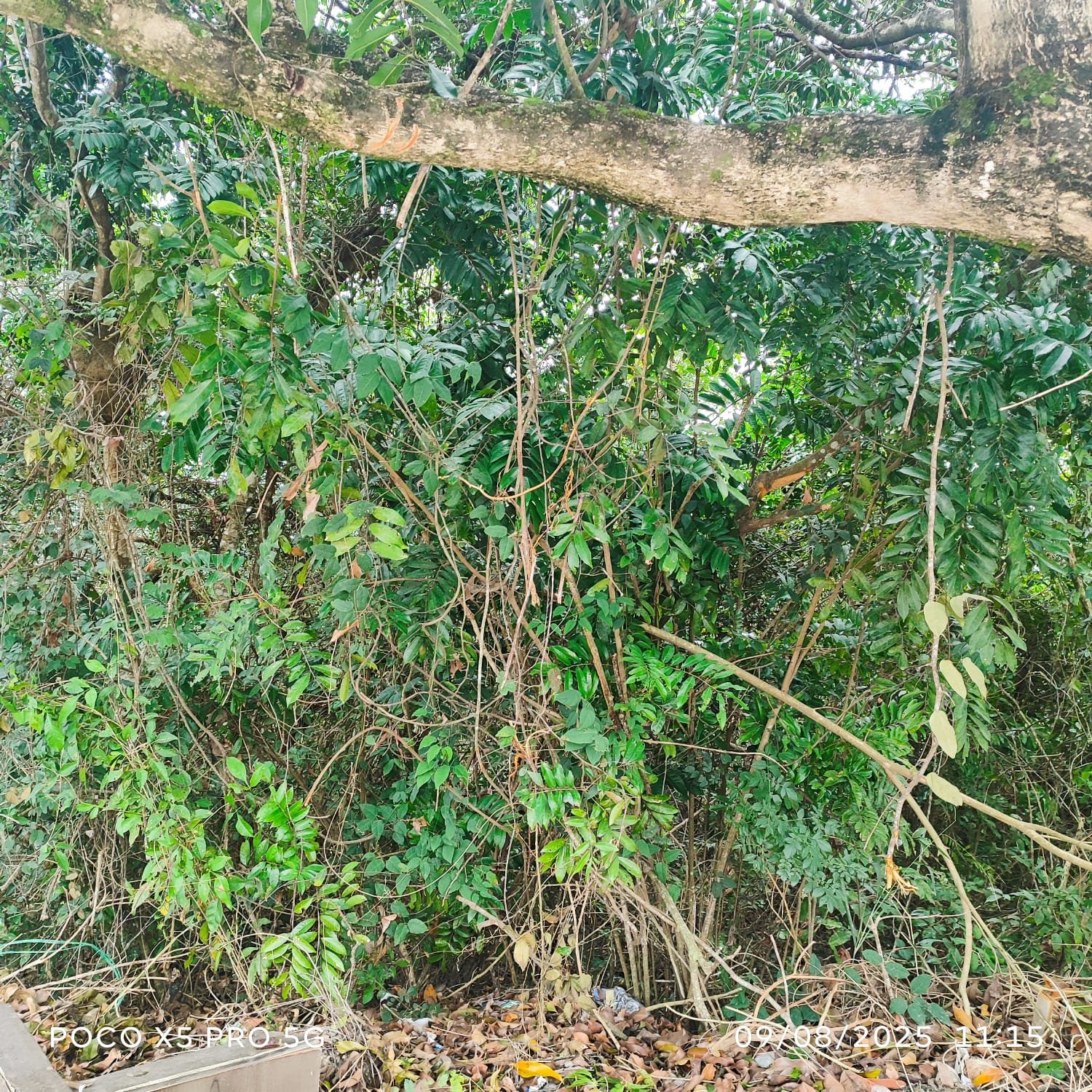 vendo lotes financiados