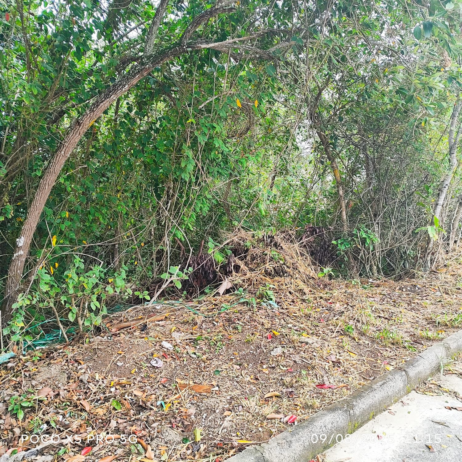 vendo lotes financiados